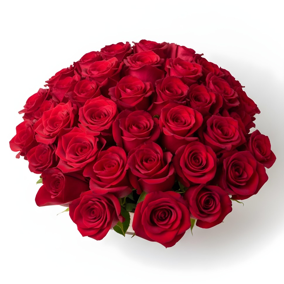 Eden Red Rose Flower Box