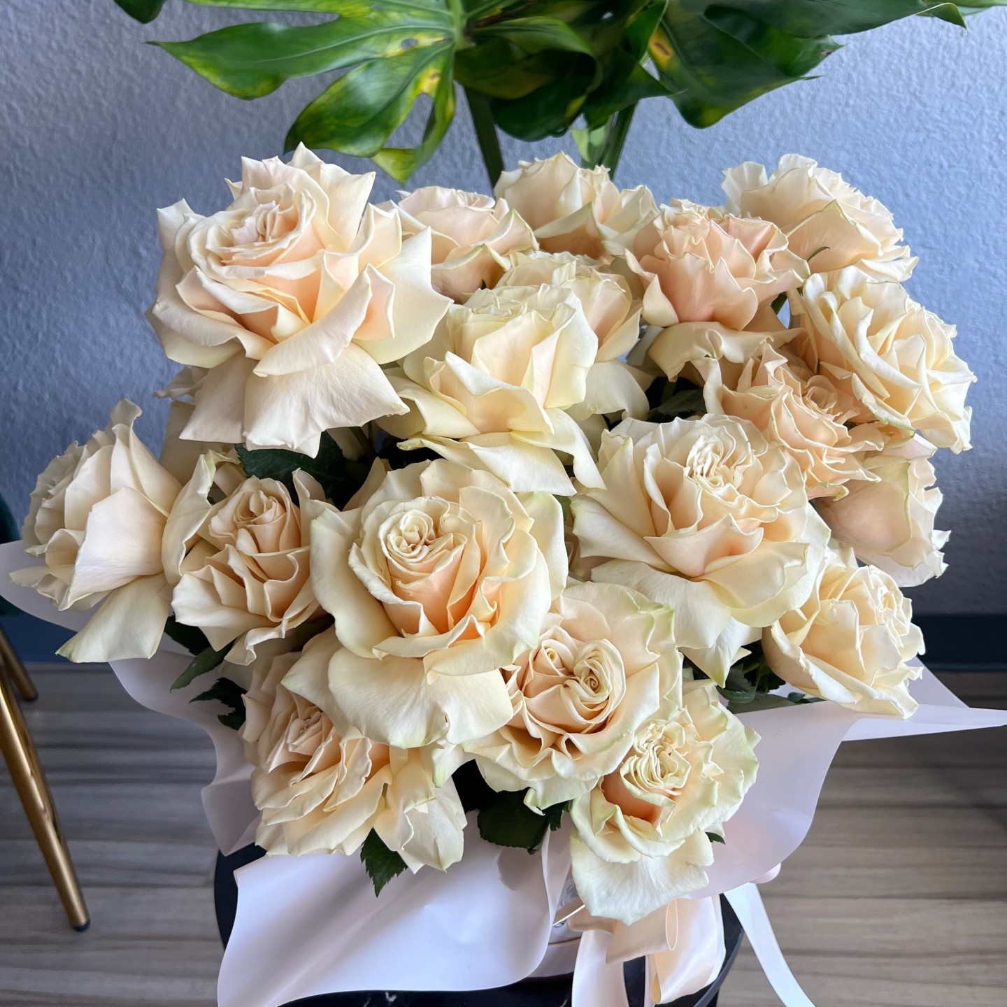 Creme Roses Cloud Box Creme Roses Cloud Box