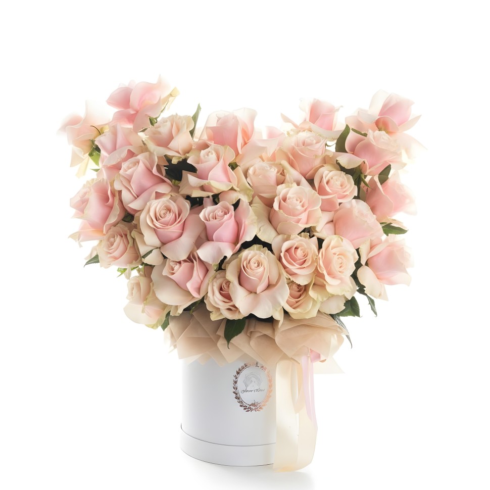 Light Pink Mondial Roses Cloud Large Box