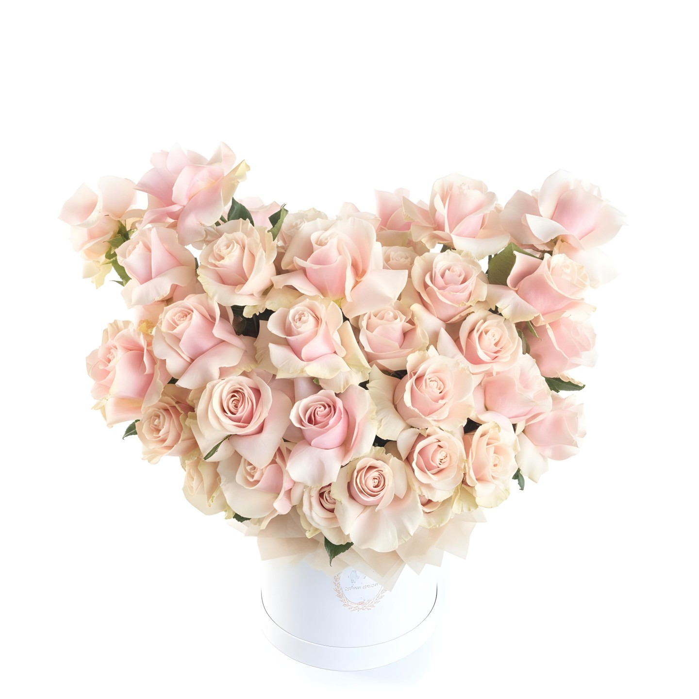 Light Pink Mondial Roses Cloud Large Box
