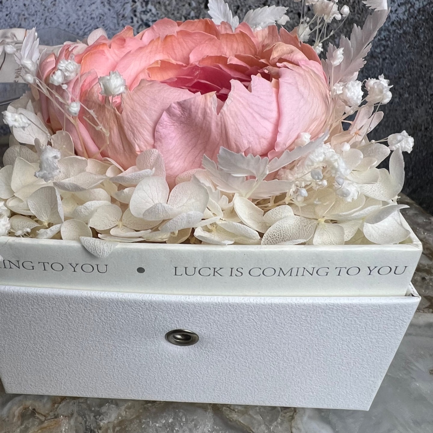 Single preserved peony in acrylic box