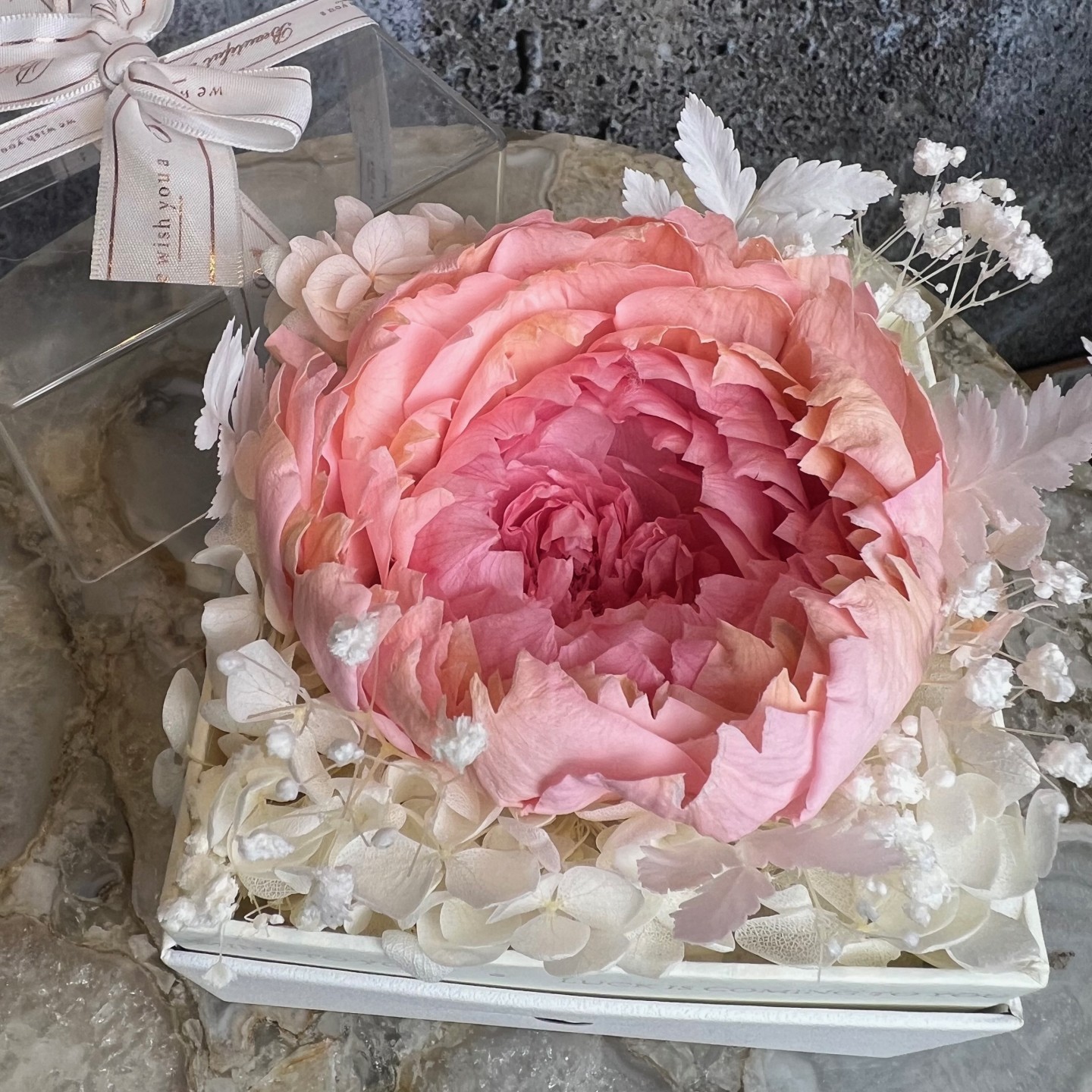 Single preserved peony in acrylic box
