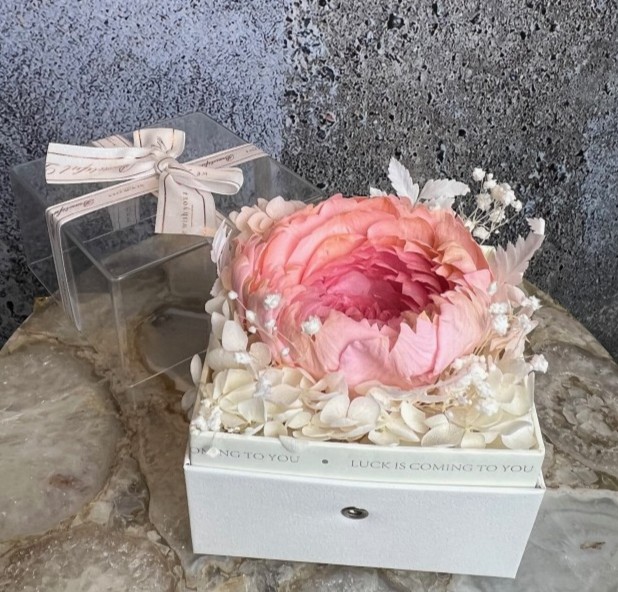 Single preserved peony in acrylic box