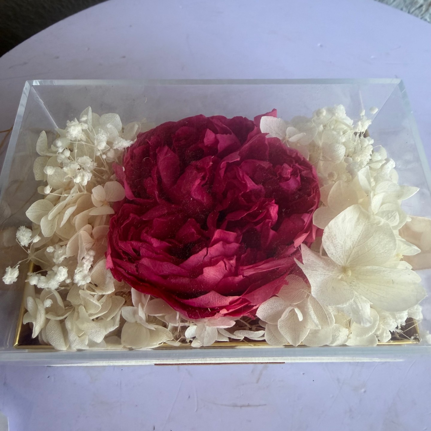 Single Preserved Hot Pink Peony In Acrylic Box